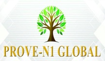 ProveN1 Global